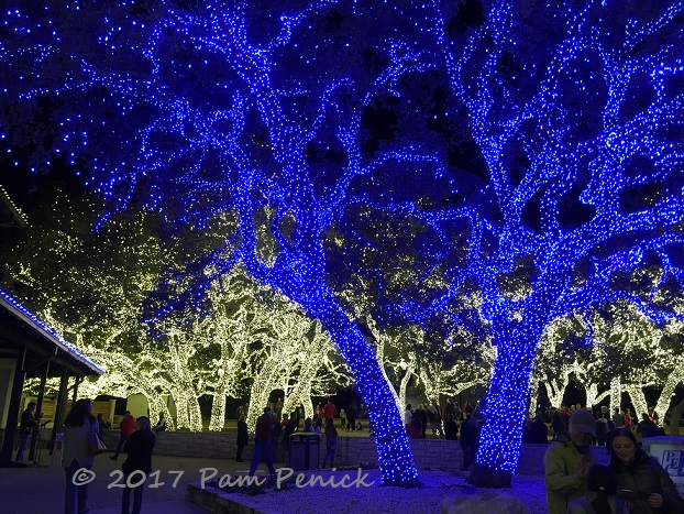 The twinkliest town in the Hill Country