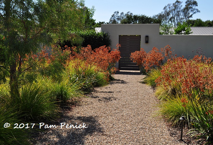 Waterwise outside, oasis inside a walled Sonoma garden