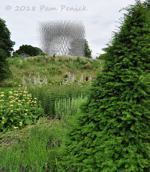 The buzz at Kew: The Hive and its pollinator-attracting meadow