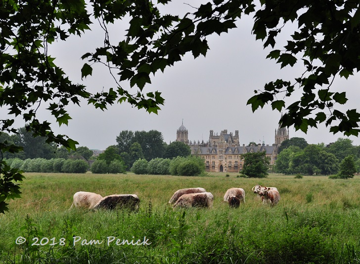 Old school sightseeing in Oxford, England