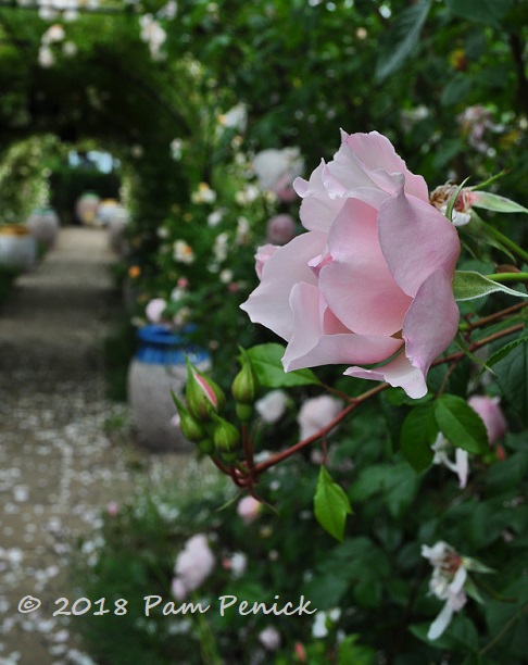 Shopping and English breakfast at Burford Garden Company