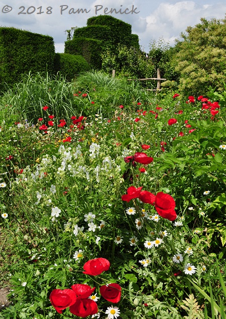 Close encounters of the plant kind at Great Dixter garden, part 1