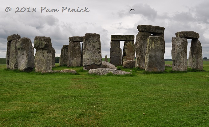 Stonehenge near the solstice brings out the Druids