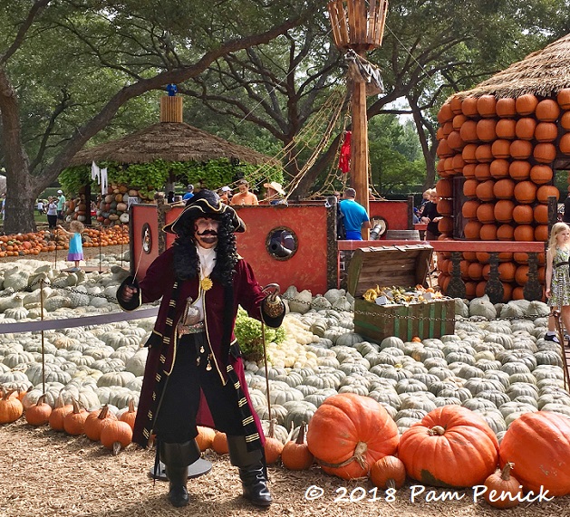 Second star to the right and straight on to the pumpkin patch at Dallas Arboretum