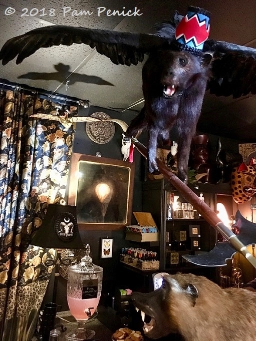 Eerie and occult Wilde Collection in Houston