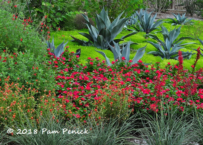 Food for people and butterflies in San Antonio Botanical Garden's culinary and entry gardens