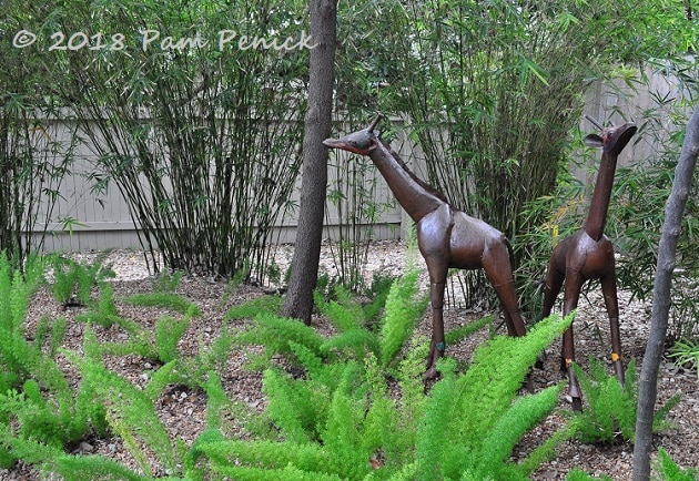 Waterwise beauty and metal animal safari in Linda Peterson's San Antonio garden