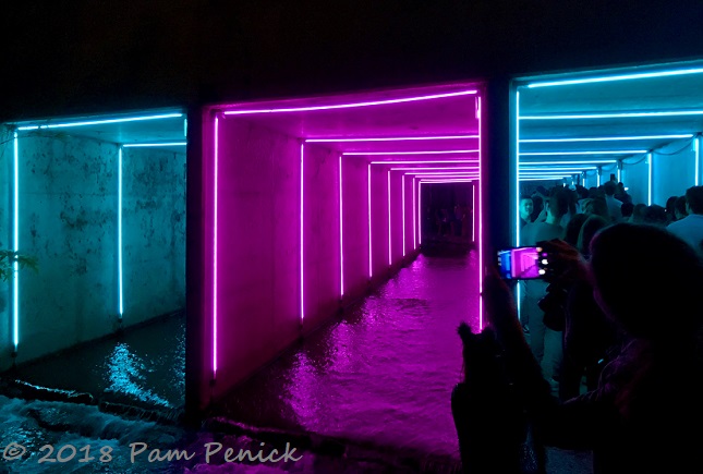 Sculptural light installations glow along Austin's Waller Creek during 5th annual Creek Show