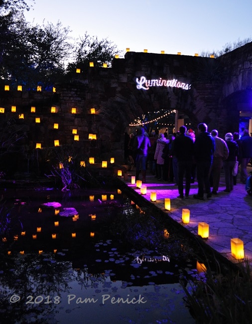 Moonstruck and aglow at Wildflower Center's Luminations