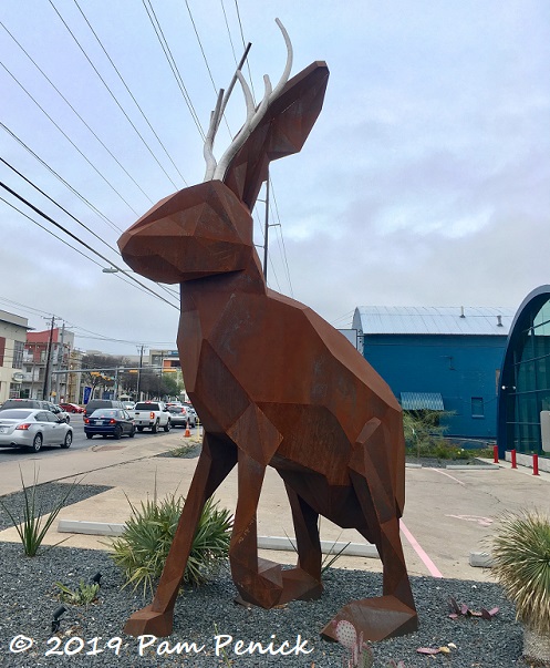 Bigger than life jackalope on N. Lamar