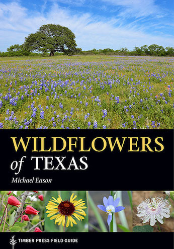 Read This: Wildflowers of Texas