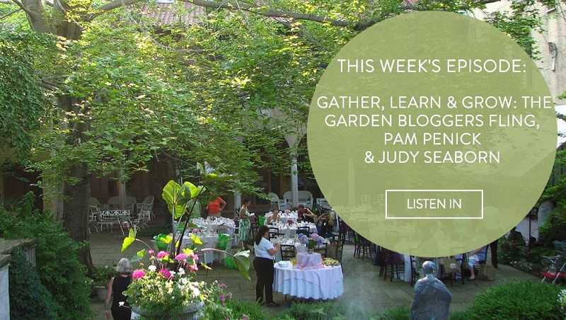 On podcast Cultivating Place, talking about Garden Bloggers Fling and finding community