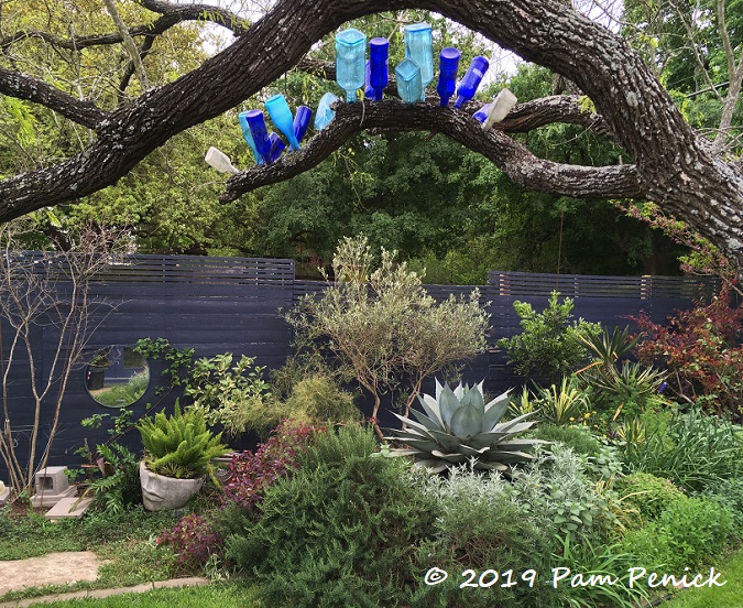 Feeling the blues - happy blues - in Lori Daul's garden