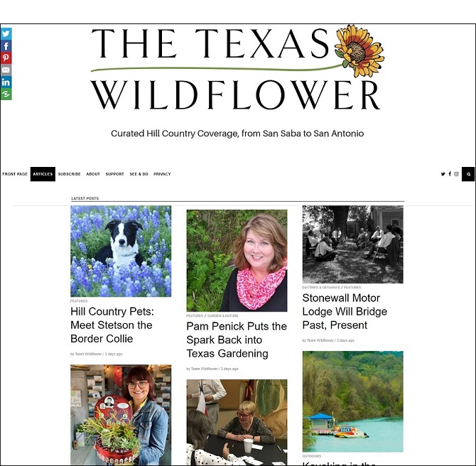 The Texas Wildflower interviews me about Garden Spark design talks