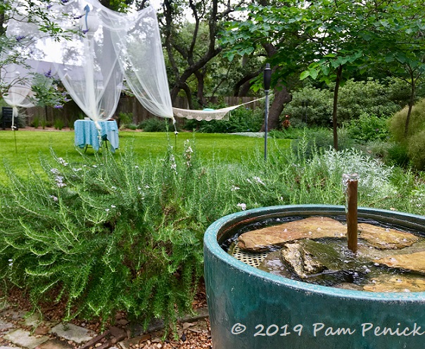 Garden retreat under the oaks in San Antonio