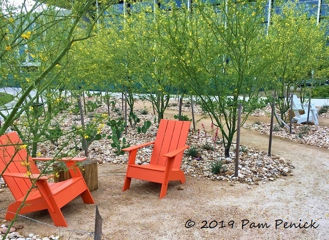 Palo verde path at new Mueller neighborhood park