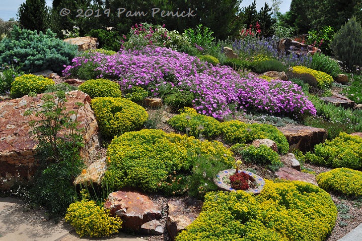 Rocking It At Gardens On Spring Creek Denver Garden Bloggers