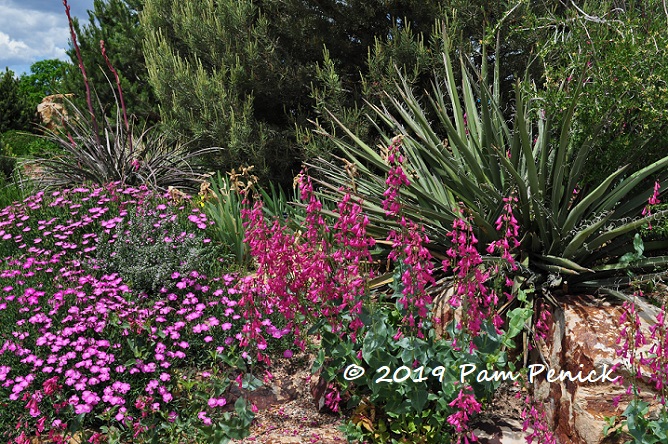 Rocking it at Gardens on Spring Creek: Denver Garden Bloggers Fling