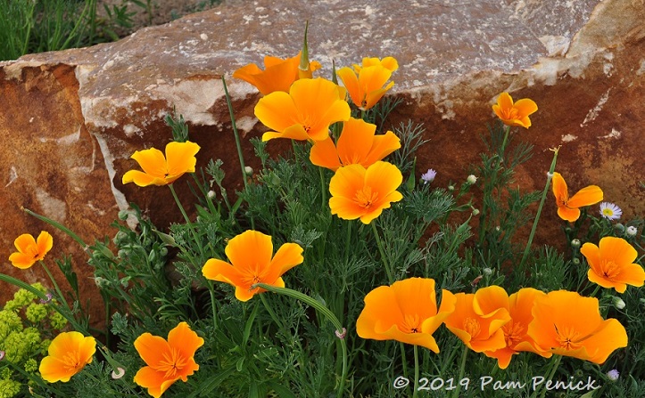 Welcome to Colorado and High Plains Environmental Center: Denver Garden Bloggers Fling