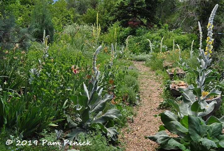 Steppe garden evangelist Panayoti Kelaidis's garden: Denver Garden Bloggers Fling