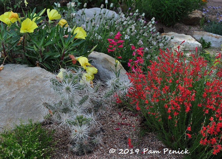 Keith Funk's front-yard oasis: Denver Garden Bloggers Fling