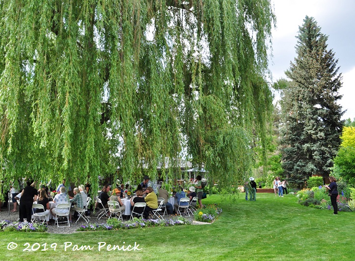 Party under the willow tree in Judy Seaborn's garden: Denver Garden Bloggers Fling