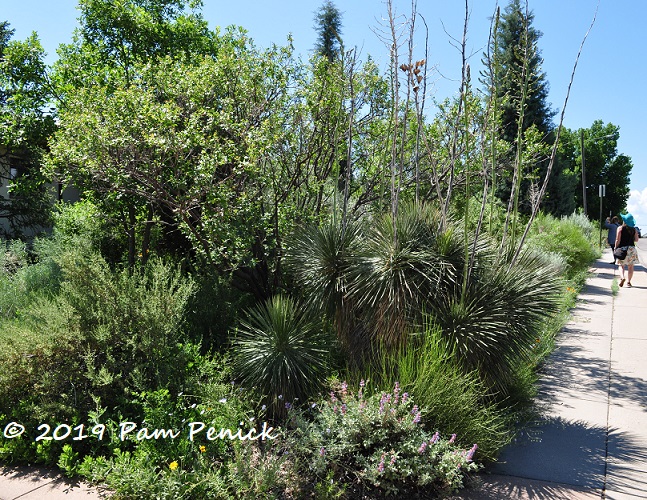 A dryland garden inspired by Mother Nature: Denver Garden Bloggers Fling