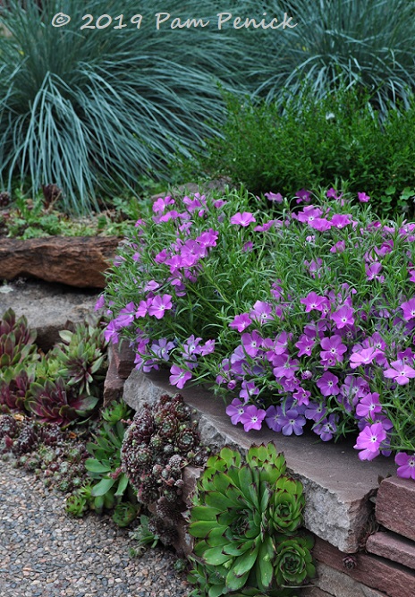 Bowled over by Linda Boley's garden: Denver Garden Bloggers Fling - Digging