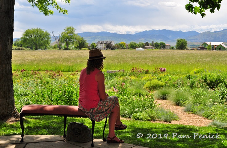 Unscripted beauty in Scripter meadow garden: Denver Garden Bloggers Fling