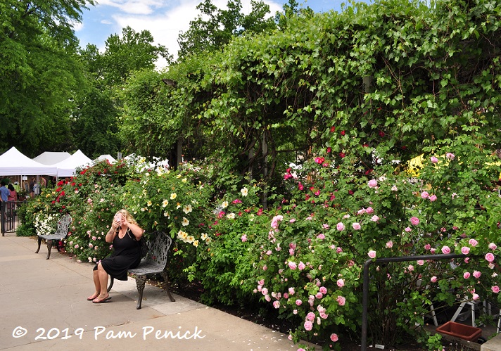 Lunch in the garden at Boulder Dushanbe Teahouse: Denver Garden Bloggers Fling