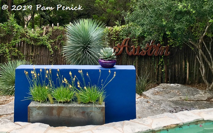 New steel planter and meadowy sedge in my garden