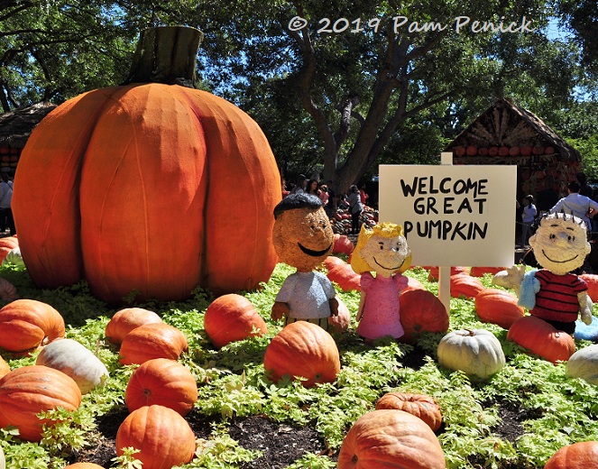 Peanuts gang at Dallas Arboretum pumpkin patch
