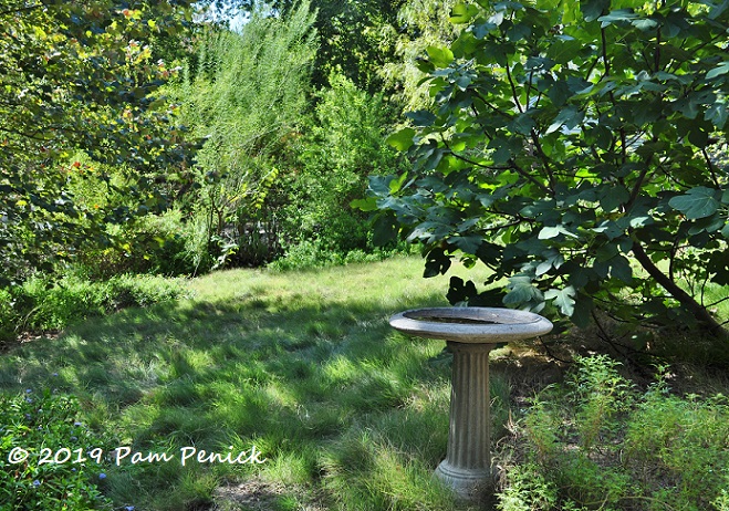 Planting for a drier future at Nuevo Santander Garden: Austin Open Day tour