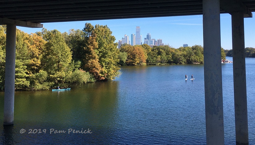 November walk at Lady Bird Lake