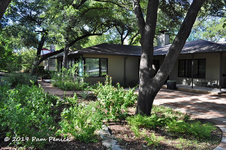 Water-saving Greenway Street Garden: Austin Open Day Tour