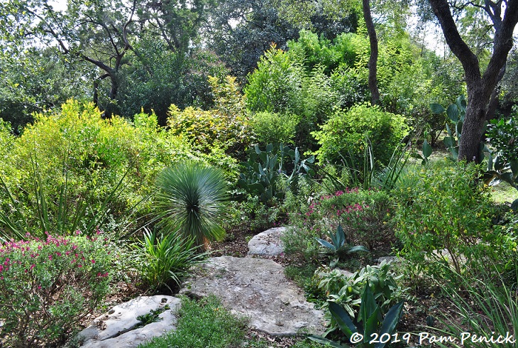 Hilltop pollinator garden of Ruthie Burrus: Austin Open Day tour