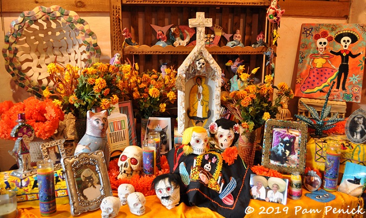 Day of the Dead at Lucinda Hutson's casita and garden - Digging