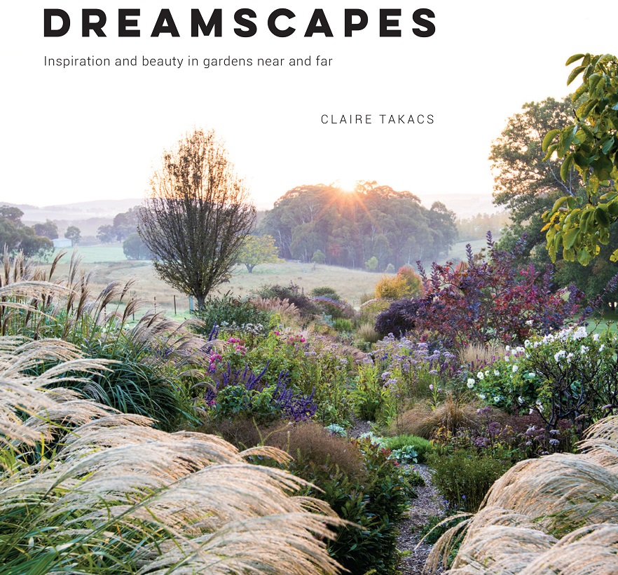 Read This: Dreamscapes by Claire Takacs