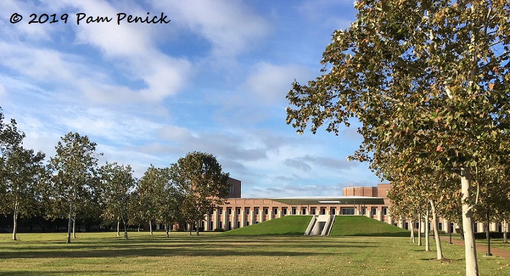 Sculpture worth visiting at Rice University