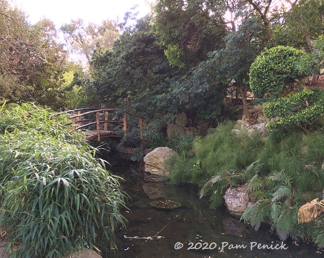 Winter stroll at Zilker Botanical Garden