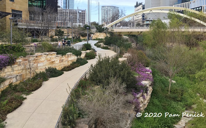 Urban landscaping along Austin's 2nd Street