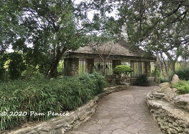 Japanese garden and prehistoric garden at Zilker Botanical Garden