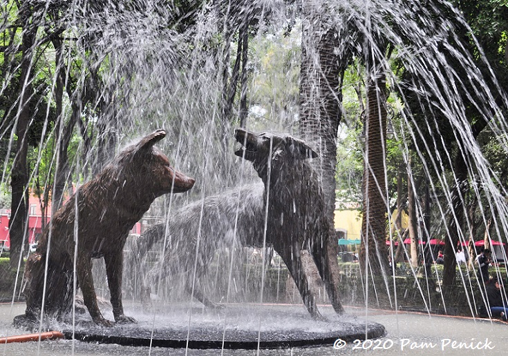 Mexico City: Coyoacán coyotes, parks, and mole