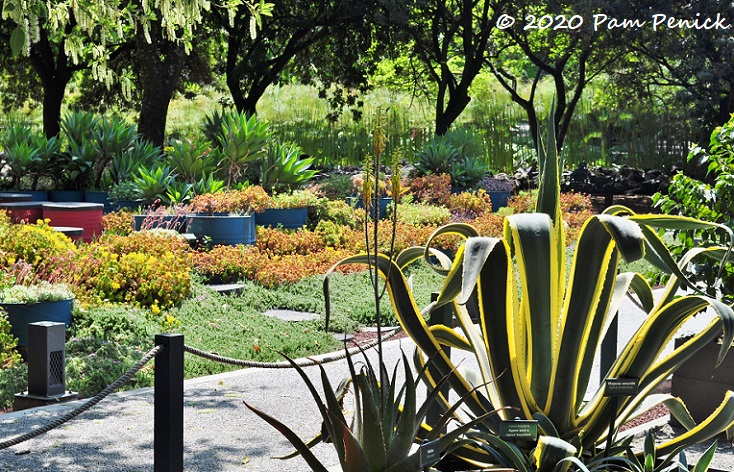 Mexico City Bosque De Chapultepec Botanical Garden And More Digging