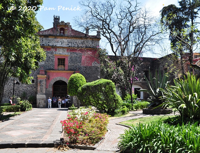 Mexico City: Colorful San Ángel and Condesa - Digging