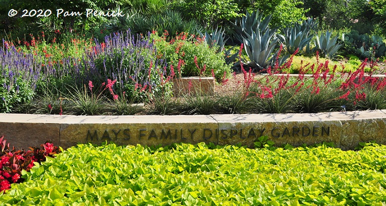 Wildflowers to Plant in Spring for a Summer Color Explosion in Your Yard