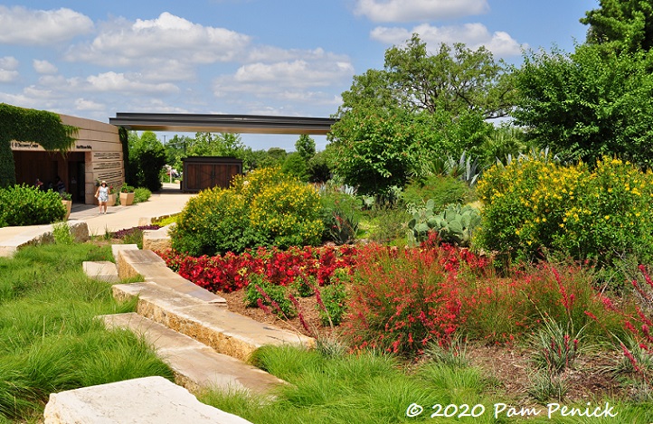 San Antonio Botanical Garden reopening, part 1