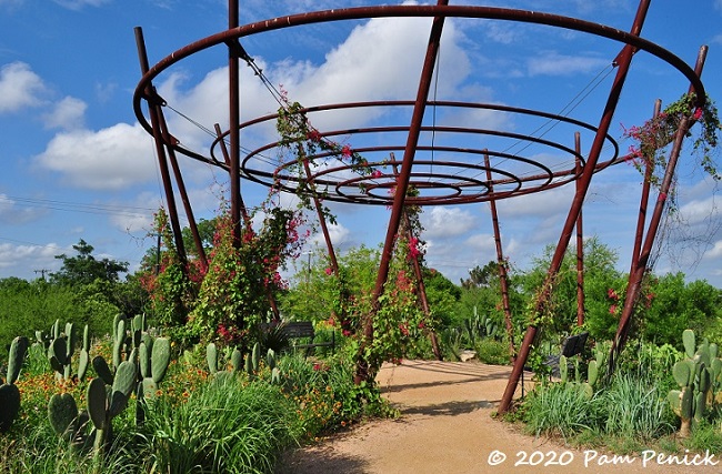San Antonio Botanical Garden reopening, part 1
