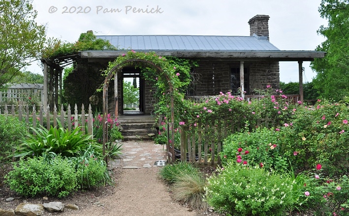 Antique Rose Emporium – Antique Rose Nursery & All Things Garden