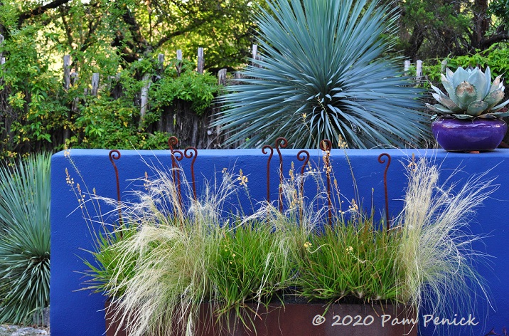 Cobalt garden wall views